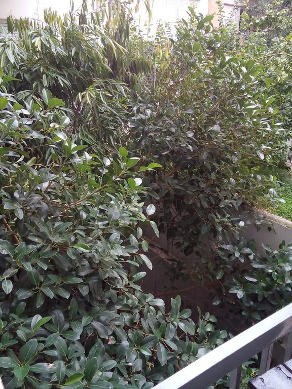 Sweet Home Corinth Ngoại thất bức ảnh